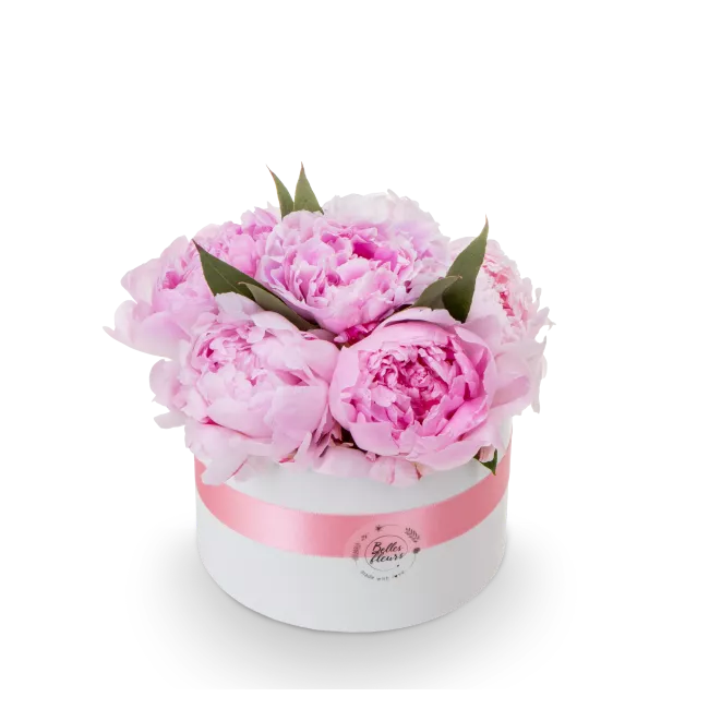 Box růžových pivoněk